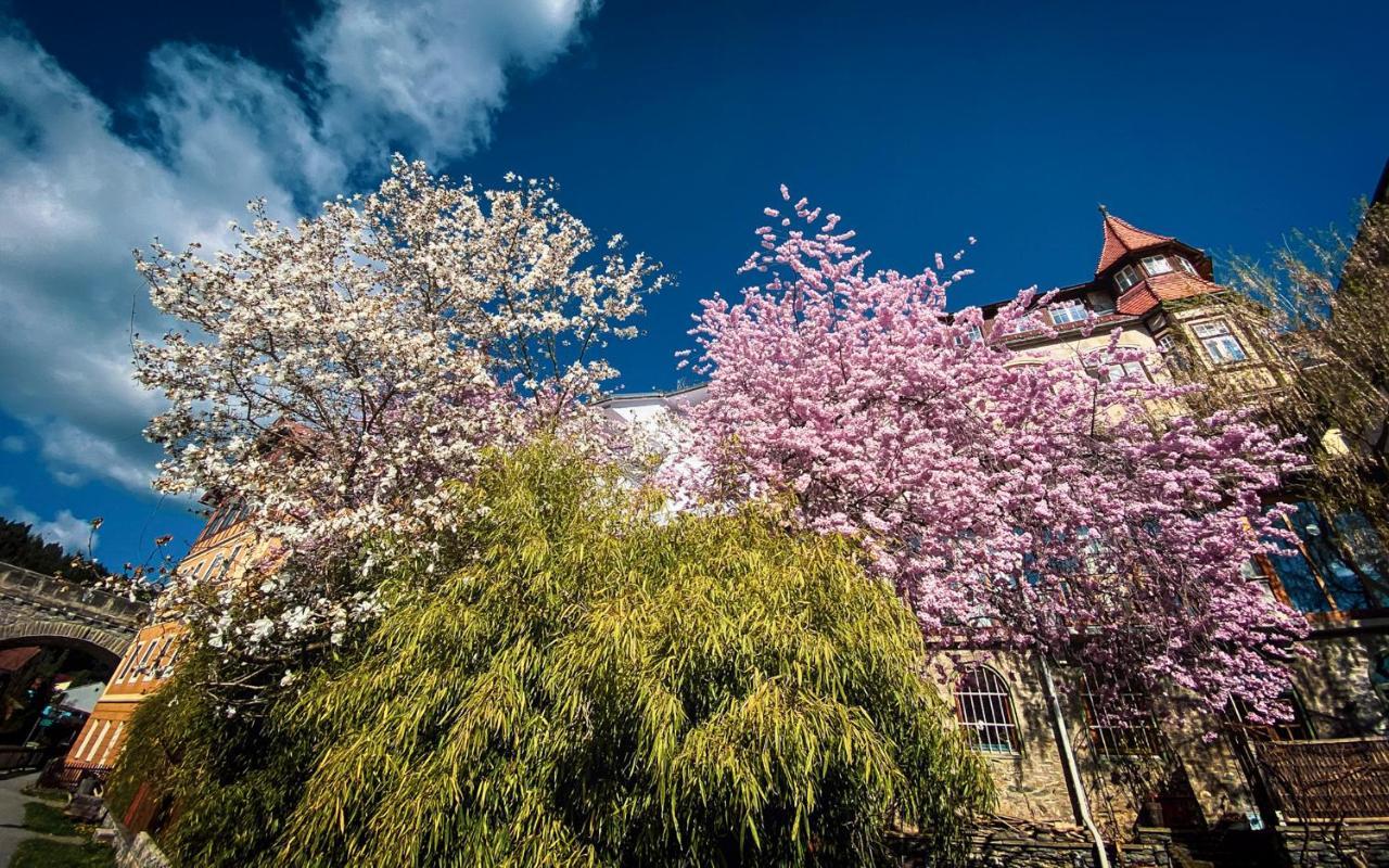 Gartenloft An Der Mur Murau Exterior photo